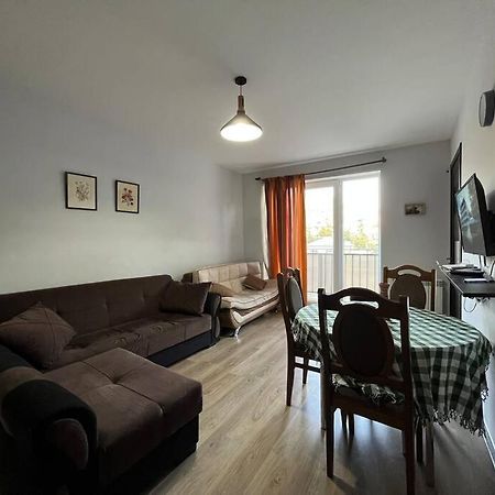 Ana'S Cosy Home In Borjomi Center المظهر الخارجي الصورة