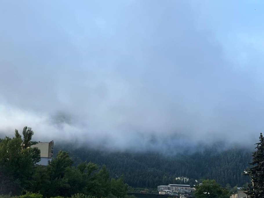 Ana'S Cosy Home In Borjomi Center المظهر الخارجي الصورة